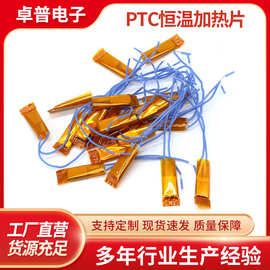 PTC恒温加热片芯 烘鞋器加热器 艾灸鱼缸加热汽车柴油管油泵加热