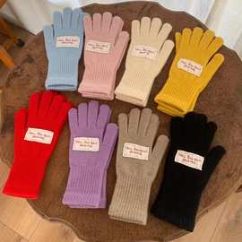 手套女秋冬新款ins网红纯色布标毛线手套女针织触屏韩版保暖五指