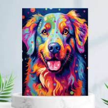 �����ͻ�DIY��ɫ����óshopify����վ�羳һ�����������ֻ�����
