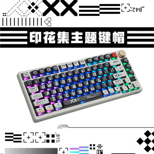 CSӡ���������pƤ��PBT�����A͸��Cе�I�P�IñСȫ�׷�ˮ����