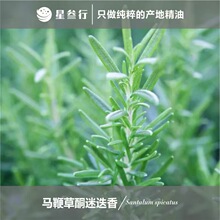 R޲ͪԵ㾫 Sֱ{޹ Ȼֲﾫl