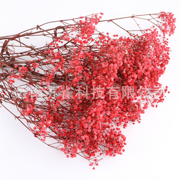 Wholesale Yunnan Ganhua Eternal Flower Flowers Di Flower DIY Bouquet…