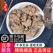 �������ɽ�����^Ұ����37Ƭ���߷�