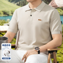 �߶˶���t����ʿ�����������·�2026�ļ��¿���������Polo����װ