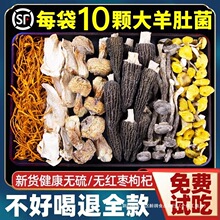 羊肚菌干货菌菇松茸炖炖汤菌汤包竹荪云南特产七彩煲食材汤料包