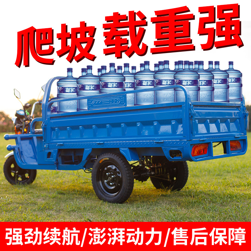 Zaizhong Wang Electric Tricycle Cargo Heavy Duty Electric Battery Vehicle Household (Auto Parts and Accessories) - 1309-meters-1300w-motor-without-battery-and-motor-60v