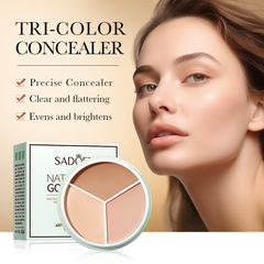 Full English SADOER Contouring and Whitening Art Trio Concealer Contour Concealer Foundation Cream Cross-border Wholesale