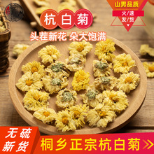 正宗浙江桐乡杭白菊中药材正品500克胎菊花泡水味更香花草茶山男