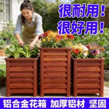 �X�Ͻ�Nֲ����⻨��ͥԺ�@�ֹ��̲��P䓻��۹���N�ˌ��÷Nֲ��