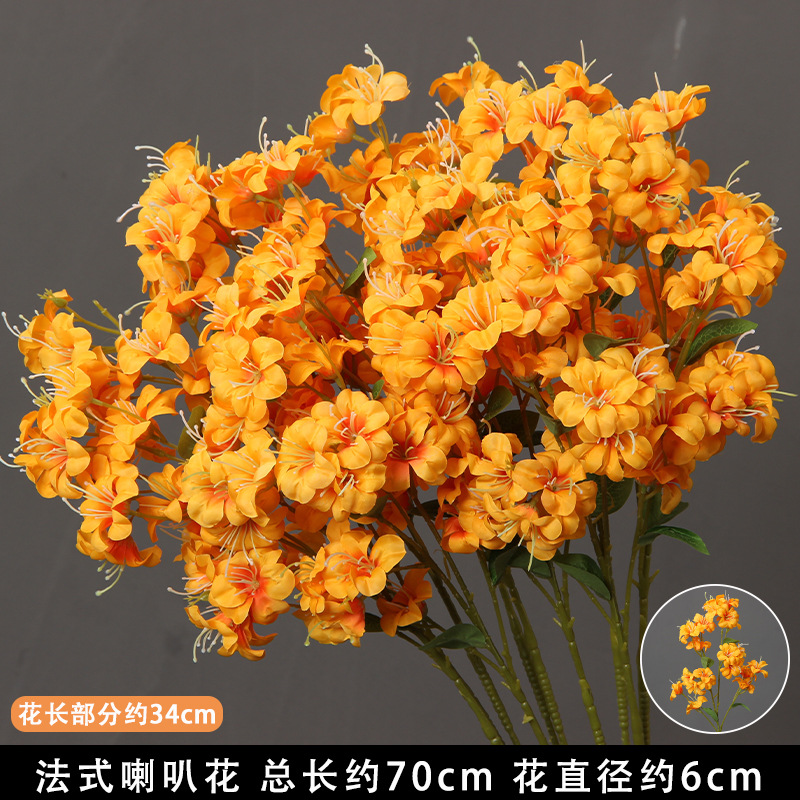 橘色法式喇叭花/支