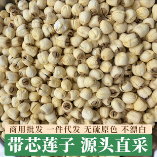 2026�긣������ɏ�Ӹ�؛500g�خa�ֹ���Ƥ��о��о��ɏ�o��Ư��