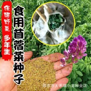 ��ޣ�˷N���B��ʳ��Ұ�����ļ��ϻ���ޣѿ�ļ�Ұ���������߲˷N��