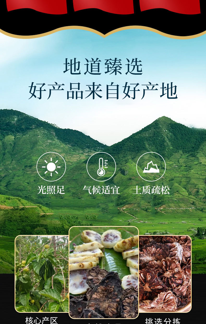 Noni Fruit Dried (Morinda citrifolia) — Hainan Noni Fruit for Soup & Tea key features