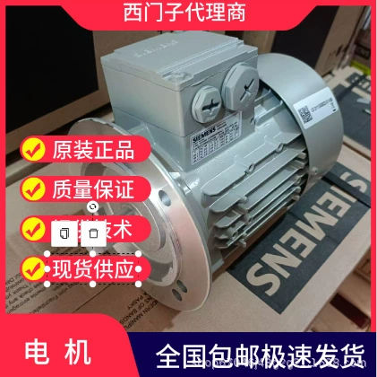 1LG4280-6AA60-Z (J3958)/1LE1501-2DC03-4AF4-Z, низковольтный двигатель