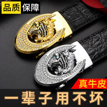 ���걾������Ƥ����Ƥ�Ԅӿ�ţƤ�Y�������{�~�y�n�����e�ٴ�ѝ��