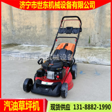 世东手扶草坪修剪打草机 汽油自走式草坪修剪机 绿化带草坪机价格