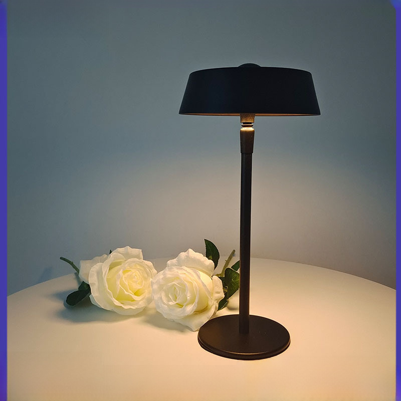 LED creative night light