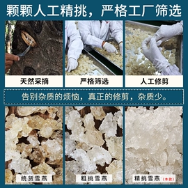 其他药食同源;代用/养生茶;杂粮组合