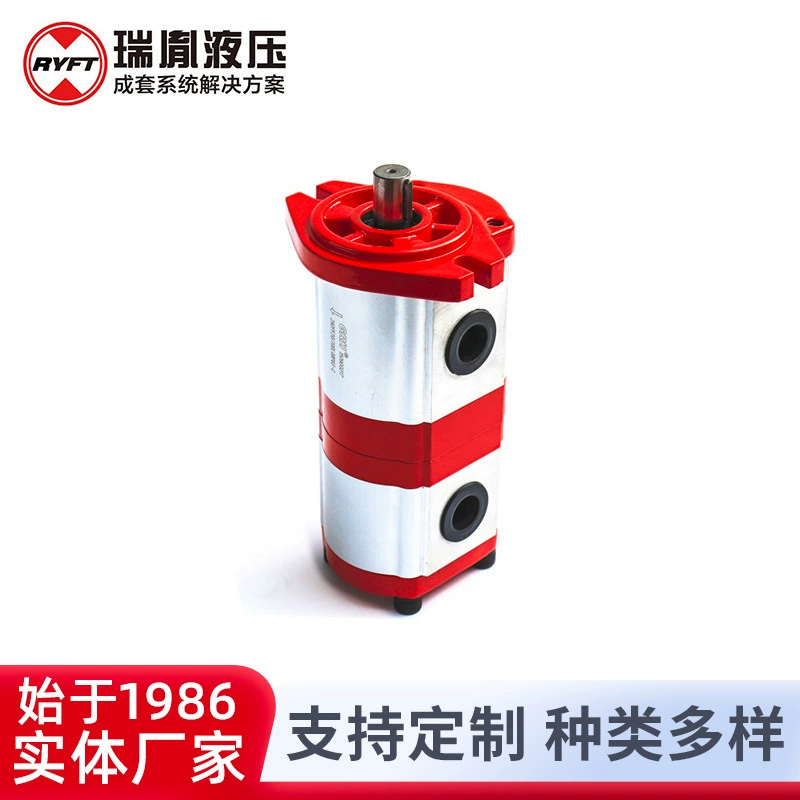 Поставка двухместный шестеренчатый насос оптовая продажа зубчатый гидравлический масляный насос напорный насос Двойной насос гидравлический бустерный насос