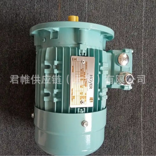 价格需核实  HOYER  型号：TYPE:HMA2 90S-2  Serial.no SH188039