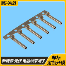 �S��ֱ�N����~�ܶ����p�T 2.3�A�ܶ���ע�ܹܠ����2.5�~�ܶ���