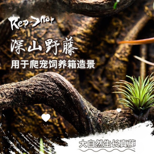 �����ٗl�쾰�޽ǘ䗫�����������^����������B��ֲ����٘�����