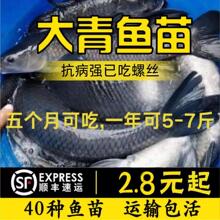 ���K��·���~������~һ�����~�����~���Ĵ���~���Bֳ�����ش�