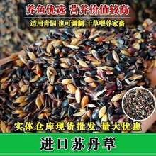 MݸߵݲļBֳţu~Ѹ߮aݷN