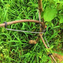 �e֦����֦�����_����֦�@ˇ�����O�����Ҙ���֦�����䌣���辰