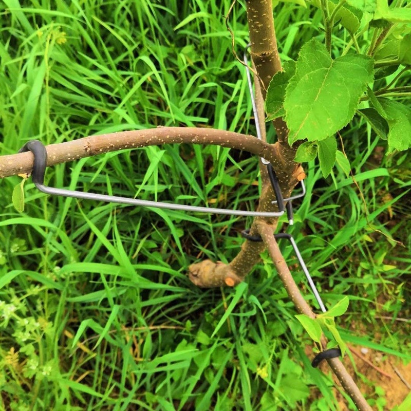 Branch Bending Tool for Shaping and Opening Angles, Gardening Tool for Apple and Cherry Trees, Special Bonsai Tool for Fruit Trees Branch Bending Tool for Shaping and Opening Angles, Gardening Tool for Apple and Cherry Trees, Special Bonsai Tool for Fruit Trees