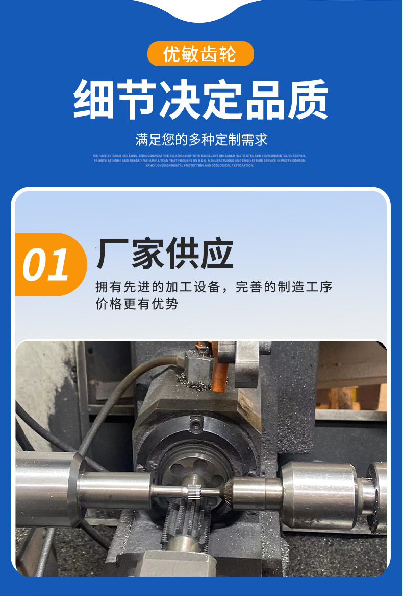 Manufacturers Supply Juicer, Wall Breaker Accessories, Metal Gears, Spline Wheels, Small Household Appliances, Gear Transmission Parts Wholesale