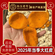����tƤ2025�ꮔ������Ƥ��tƤ���tƤ�S��ֱ�N��Ȼ�����֦��