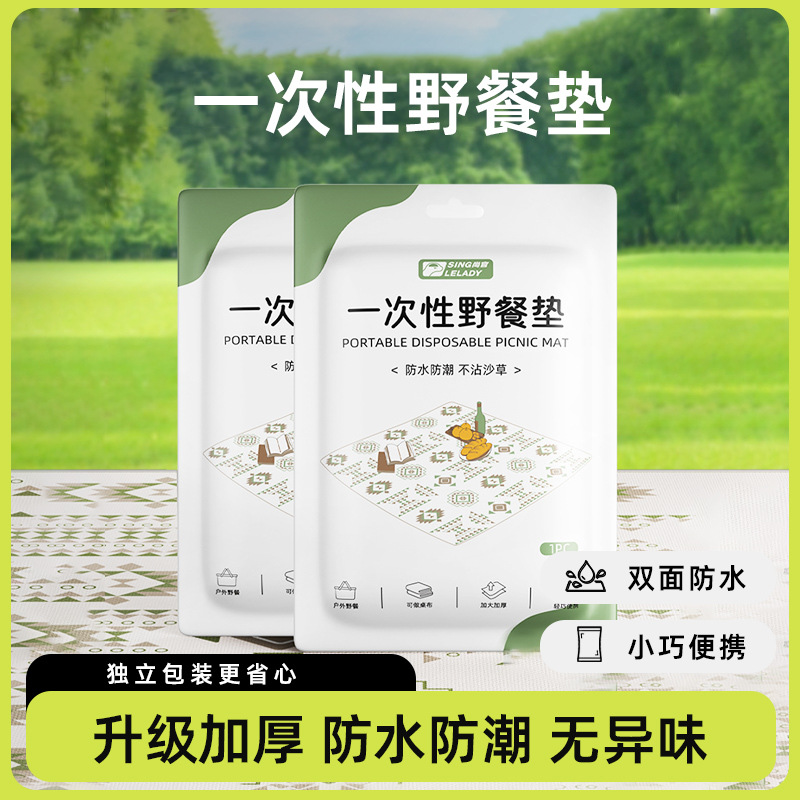 户外露营一次性野餐垫音乐节便携式野炊野餐折叠防水沙滩草坪地垫
