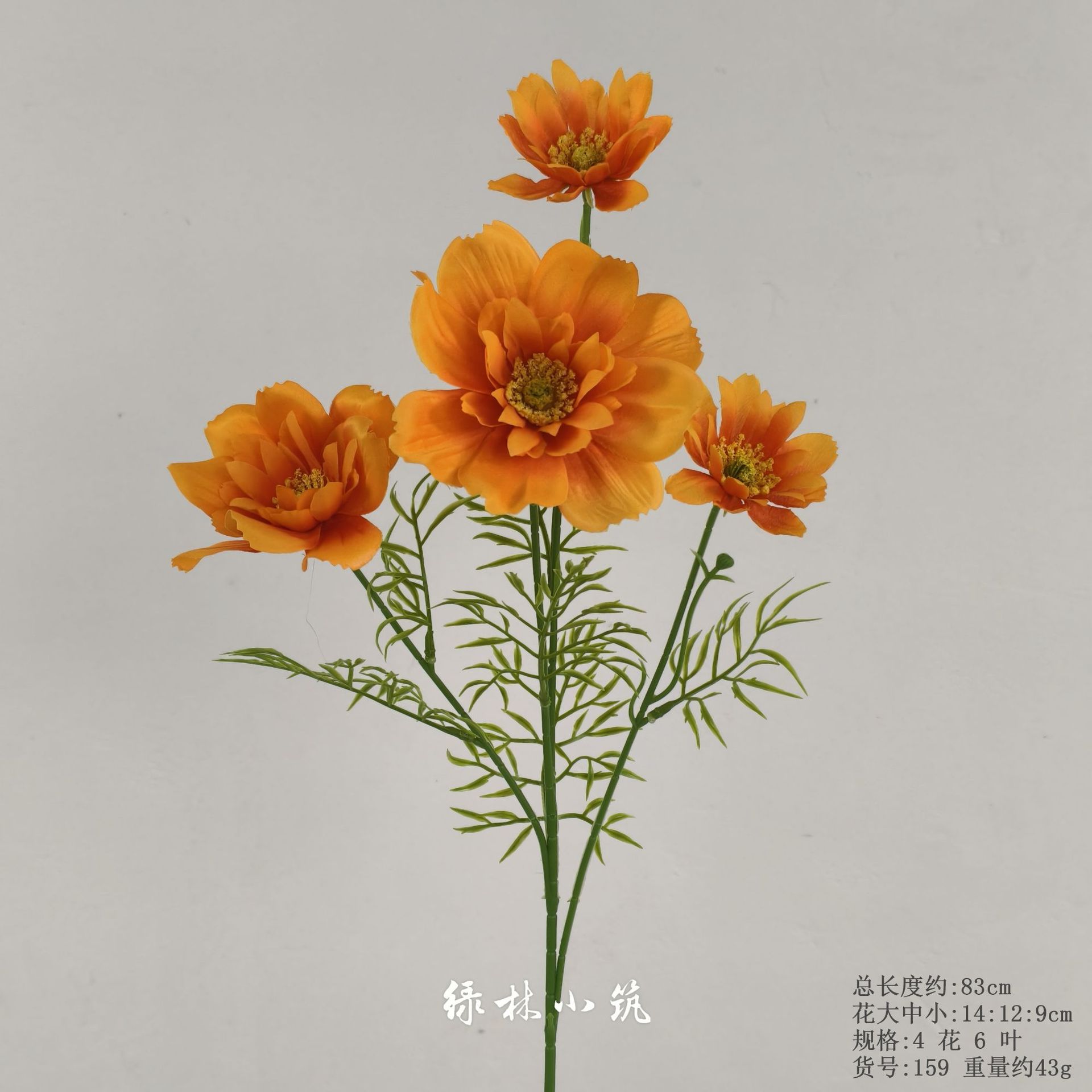 품목번호 159-게상꽃