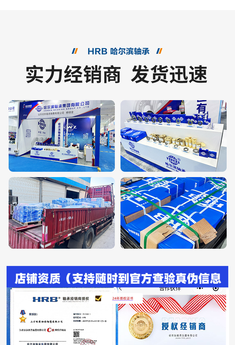 Heavy-Duty Wear-Resistant Hrb Harbin Bearings 32204 32205 32206 Automotive Differential Drive Shaft Bearings