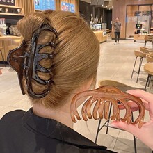 �l����ץ�AŮ��̖�l�A��ʽ�͹Űlץ���X�׊A�����~�A�W�t2026�¿�