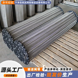 传动链;输送机;网带