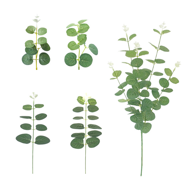 Simulated Single Money Leaf Eucalyptus Leaf Ins Forest Wedding Flower Arrangement Accessories Flower Arrangement Accessories Decorative Leaves Simulated Single Money Leaf Eucalyptus Leaf Ins Forest Wedding Flower Arrangement Accessories Flower Arrangement Accessories Decorative Leaves