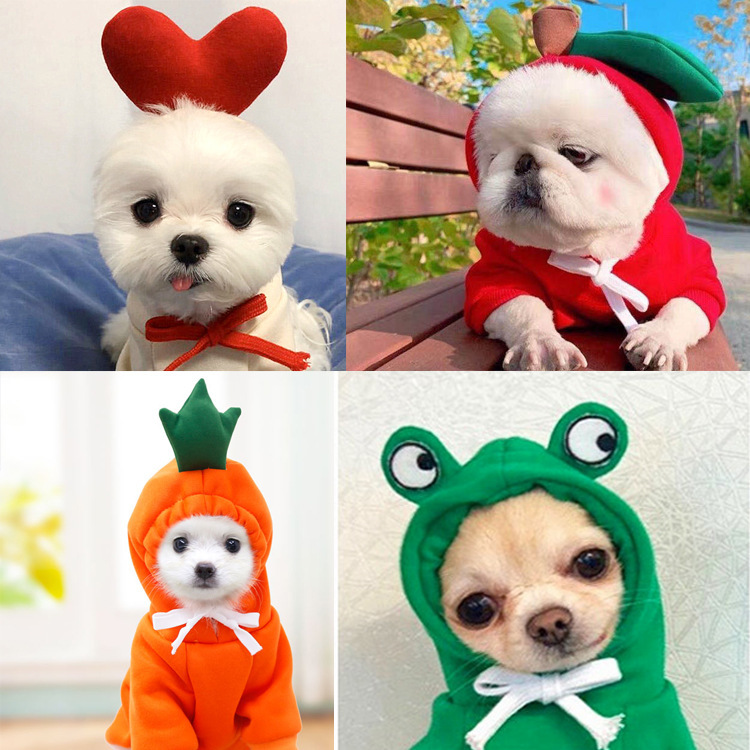 OEM personalizado perro gato mascota Otoño e Invierno fleece lindo Rana con capucha suéter pequeño mediano perro grande
