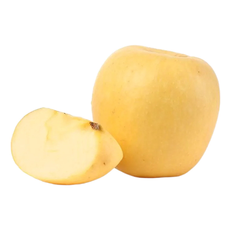 山东维纳斯黄金苹果产地直发苹果包邮应当季黄金苹果一件代发