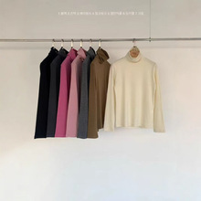 现h  韩国东大门EGG同款25秋冬新款气质百搭磨毛保暖高领打底衫女