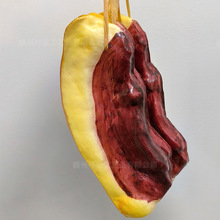 PU�����D��ģ�ͼ��廨��ƬʳƷ�����i��Ƭ�b��r�Ҙ��������K