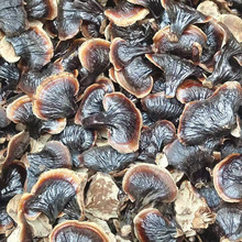 现货小金边灵芝不苦网红小香芝泡水煲汤产地直发量大从优香味十足