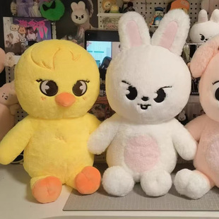 Stray Kids SKZ������ͯ���N �S�C��ë�q���п�ͨ������̩����ż