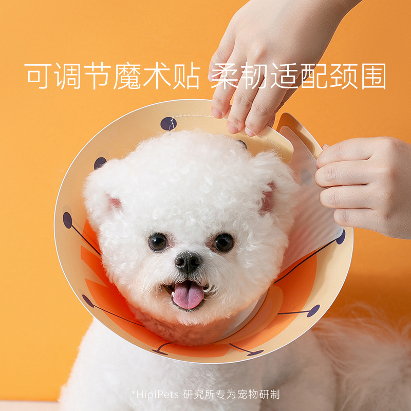 Perro gato completo impreso colorido Elizabeth anillo gato y perro universal anti-lamer rasguño mordida cuello collar suministros para mascotas al por mayor