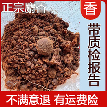 �����������˺ϳ�ș��ƿ�b���������������