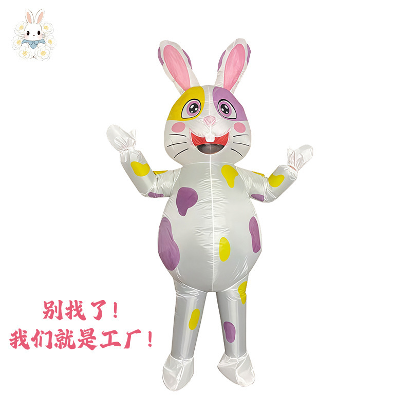 斑点兔(成人)