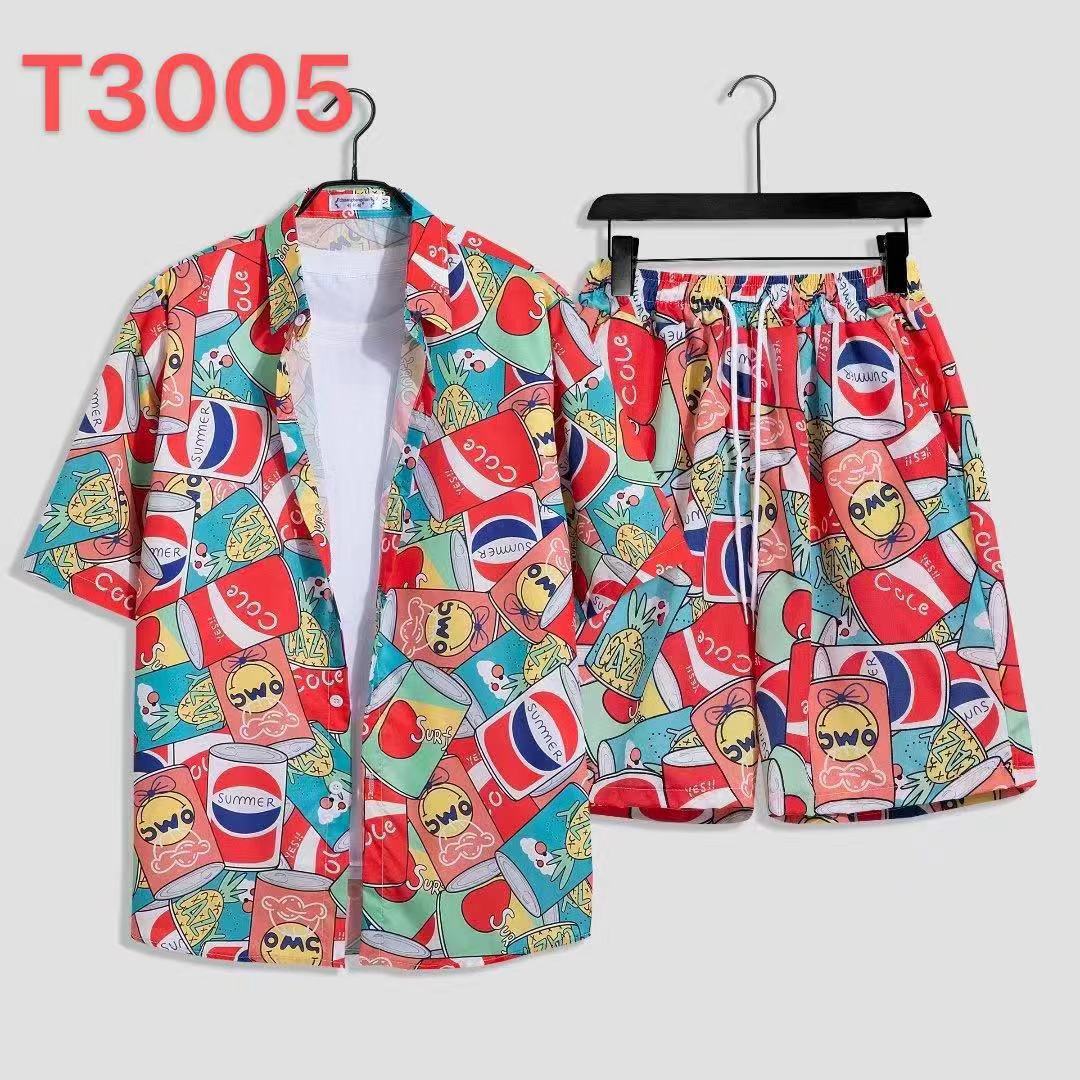 T3005