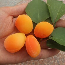 ��Ʒ�N�����S����÷���� �޽���÷�� ���Ә��� �ͺ��׻� ����Y��