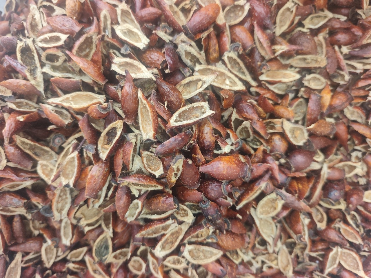 Dried Cherokee Rose Fruit Jin Ying Zi 500g Hand Seeded Slices for Tea Wine and Soup specifications
